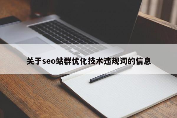 关于seo站群优化技术违规词的信息